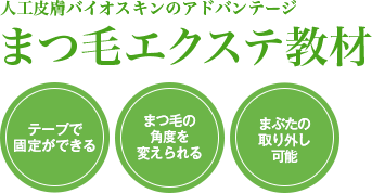 人工皮膚バイオスキンのアドバンテージ まつ毛エクステ教材